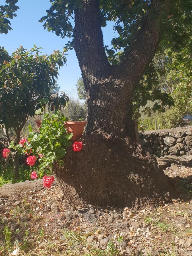 Alle Pendici Dell'Etna Ragalna Exterior photo